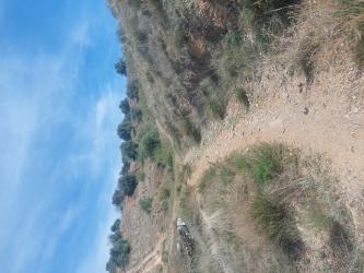 finca rústica en huetor-vega