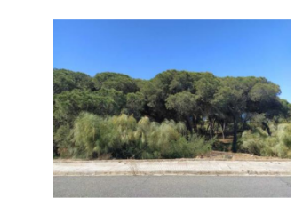 solar en palos de la frontera