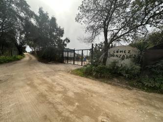 finca rústica en moguer