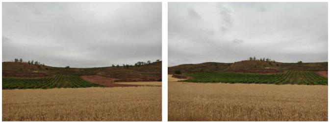 finca rústica en alesanco