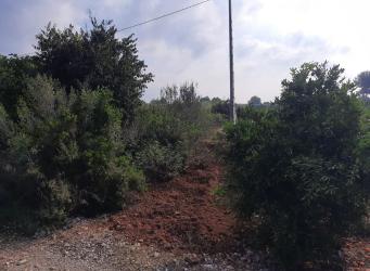 finca rústica en el real de gandia