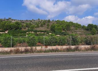 finca rústica en el real de gandia