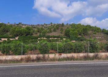 finca rústica en el real de gandia