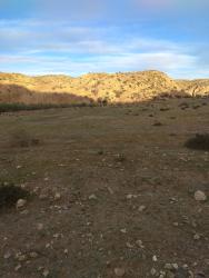 finca rústica en santa fe de mondujar