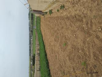 finca rústica en chiclana de la frontera