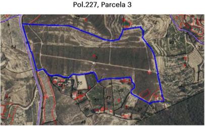 finca rústica en murcia