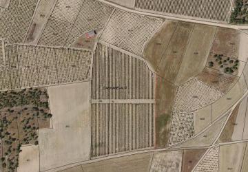 finca rústica en nieva