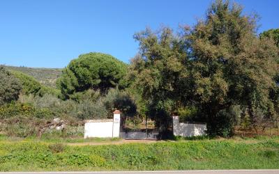 finca rústica en constantina