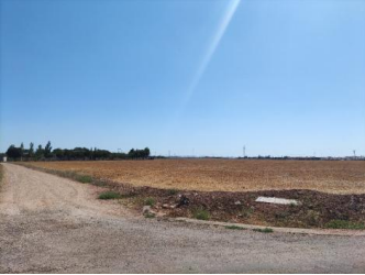 finca rústica en miguelturra