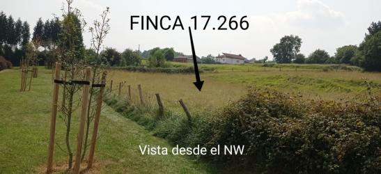 finca rústica en siero