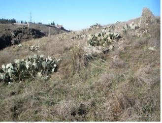 finca rústica en san cristobal de segovia