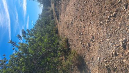 finca rústica en alcala de xivert