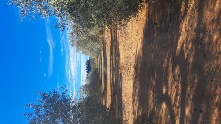 finca rústica en alcala de xivert