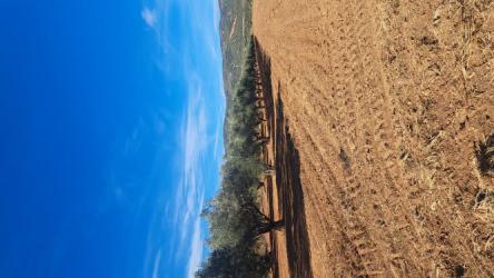 finca rústica en alcala de xivert