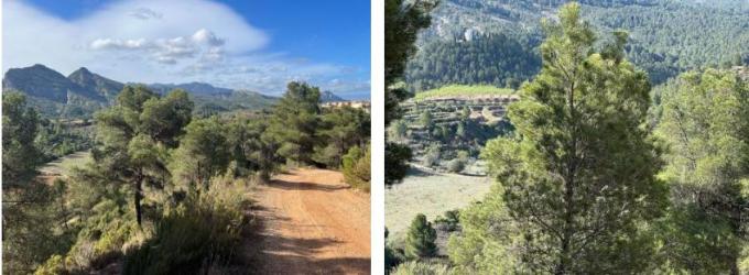 finca rústica en bot