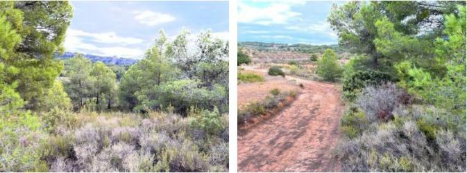 finca rústica en gandesa