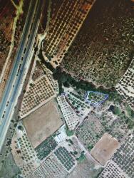 finca rústica en freginals