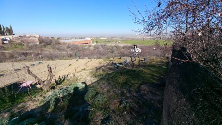 solar en olias del rey