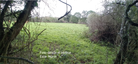 finca rústica en siero