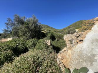 vivienda en sant josep de sa talaia