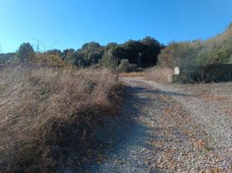 finca rústica en piera