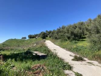 finca rústica en espera