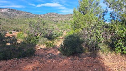 finca rústica en peÑiscola