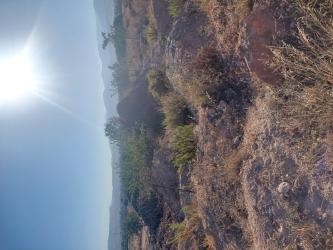 finca rústica en ogijares