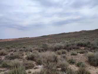 finca rústica en zaidin