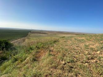 finca rústica en carmona