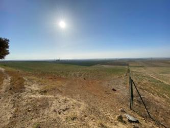 finca rústica en carmona