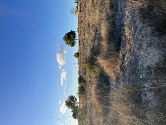 otros en guadasequies