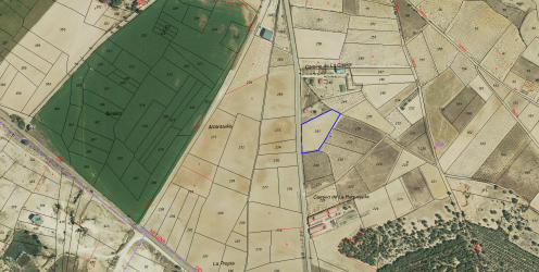 finca rústica en san roman de hornija