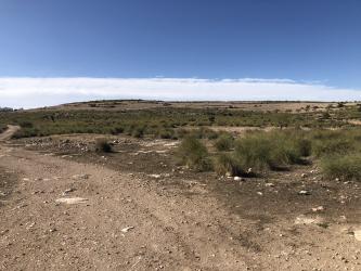 finca rústica en pozo-lorente