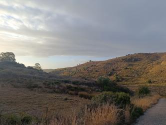 finca rústica en manilva
