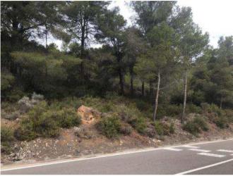 finca rústica en chulilla