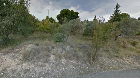 finca rústica en borja