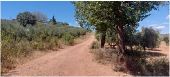 finca rústica en chiclana de segura