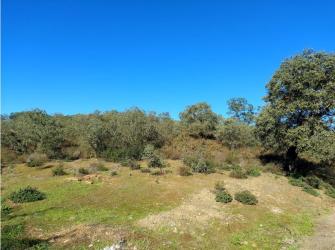 finca rústica en el ronquillo