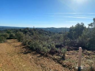 finca rústica en el ronquillo