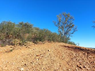 finca rústica en el ronquillo