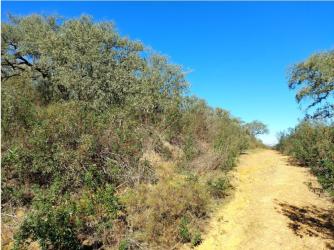 finca rústica en el ronquillo