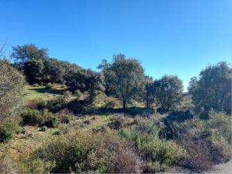 finca rústica en el ronquillo