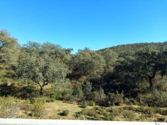 finca rústica en el ronquillo