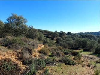 finca rústica en el ronquillo