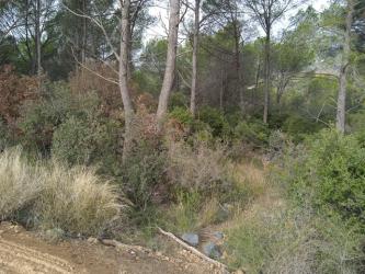 finca rústica en les franqueses del valles