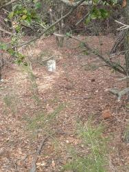finca rústica en les franqueses del valles