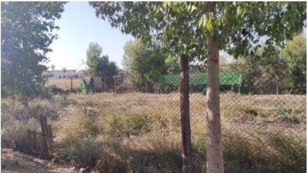 finca rústica en torres de cotillas (las)