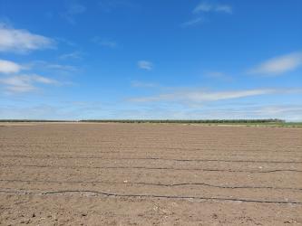 finca rústica en osuna