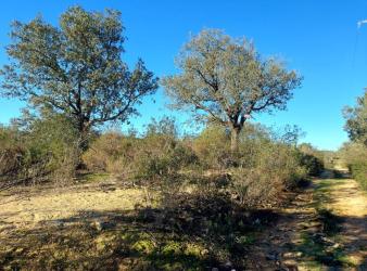 finca rústica en el ronquillo